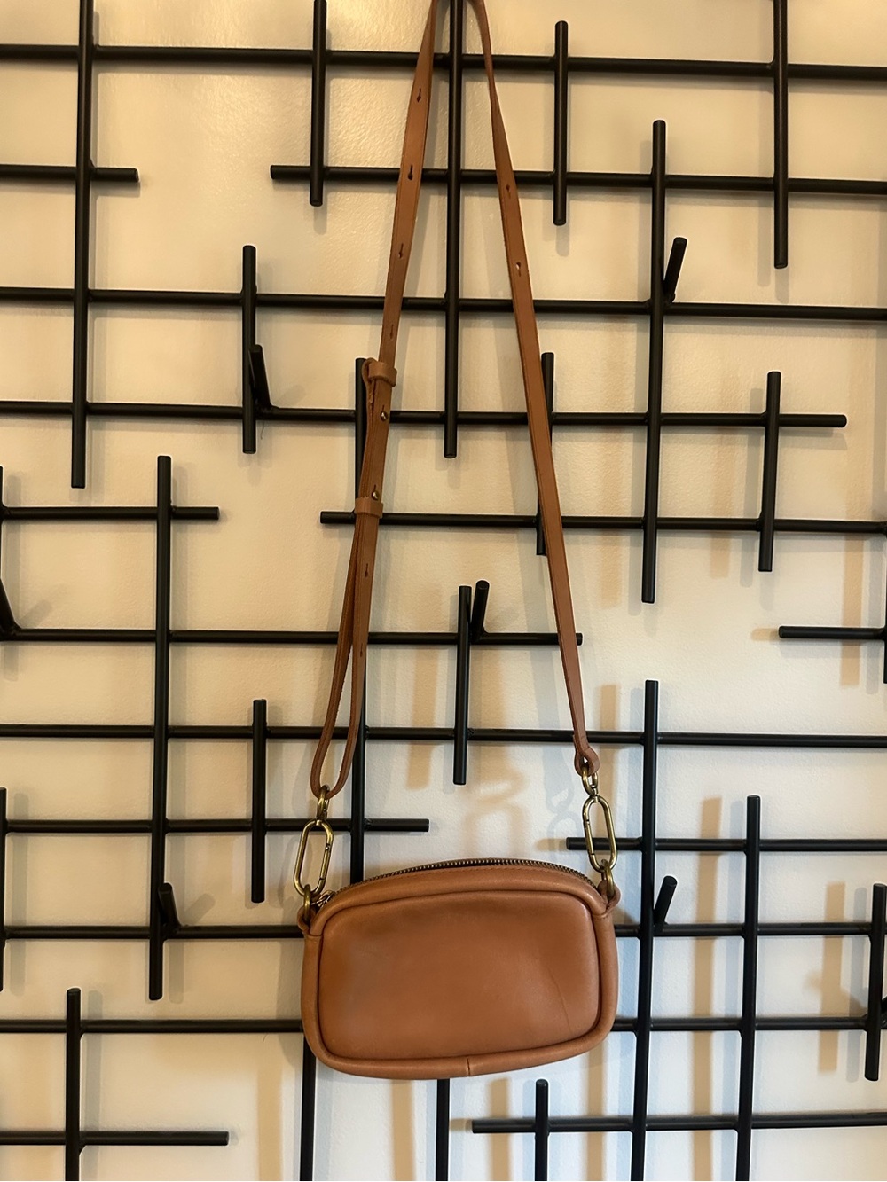 Madewell Brown Leather Crossbody Camera Bag
